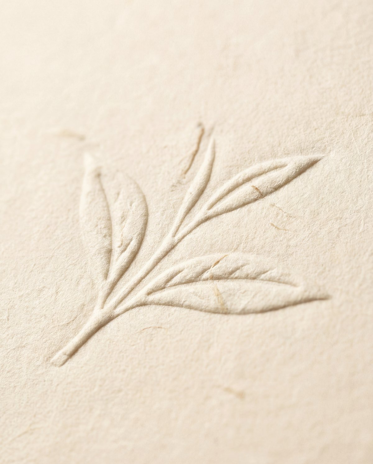 Sencha House collateral